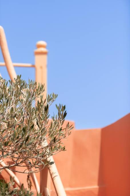 Riad Le Petit Bacha Marrakesh Buitenkant foto